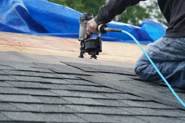 Best Green or Eco-Friendly Roofing Solutions  in Fredonia, NY